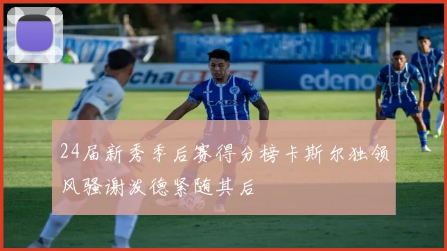 24届新秀季后赛得分榜卡斯尔独领风骚谢泼德紧随其后